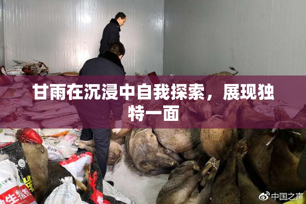 甘雨在沉浸中自我探索，展现独特一面