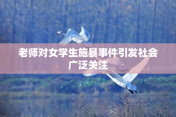 老师对女学生施暴事件引发社会广泛关注