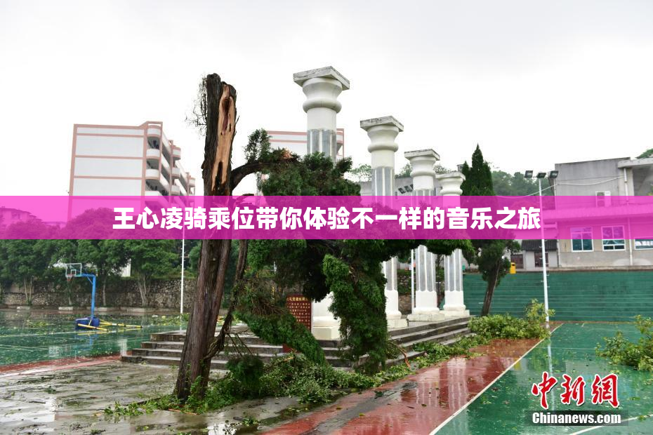 王心凌骑乘位带你体验不一样的音乐之旅