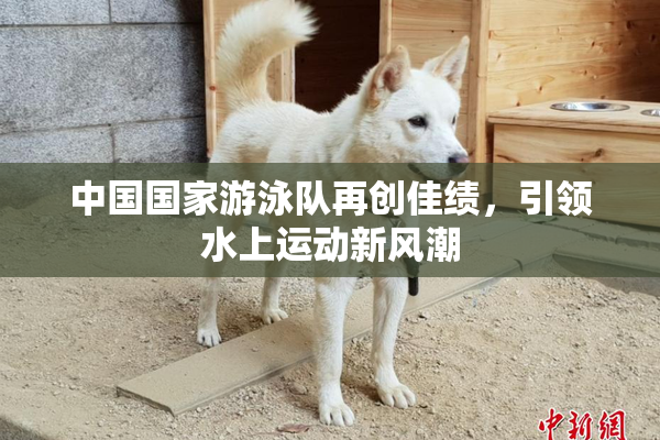 中国国家游泳队再创佳绩，引领水上运动新风潮
