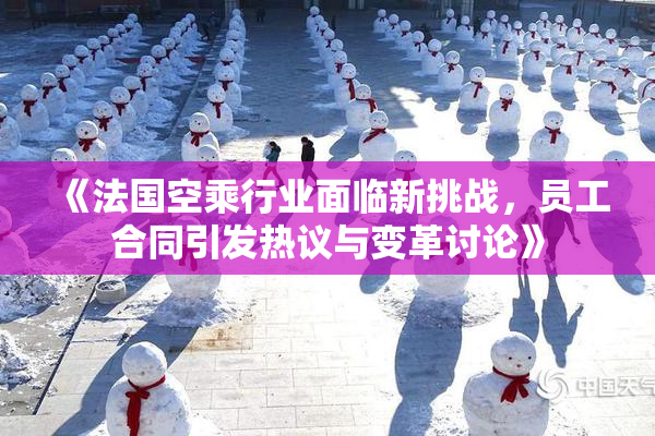 《法国空乘行业面临新挑战，员工合同引发热议与变革讨论》