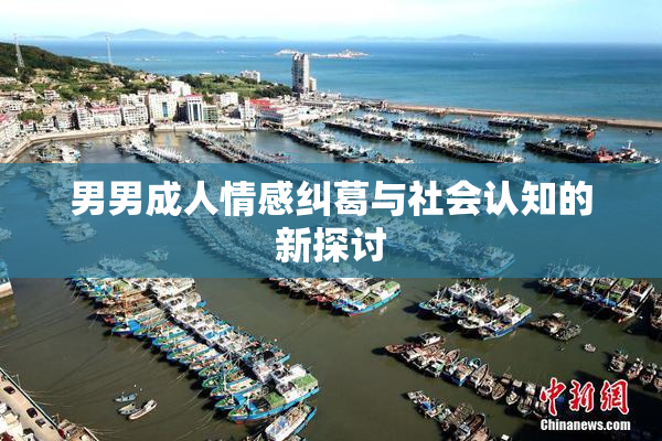 男男成人情感纠葛与社会认知的新探讨