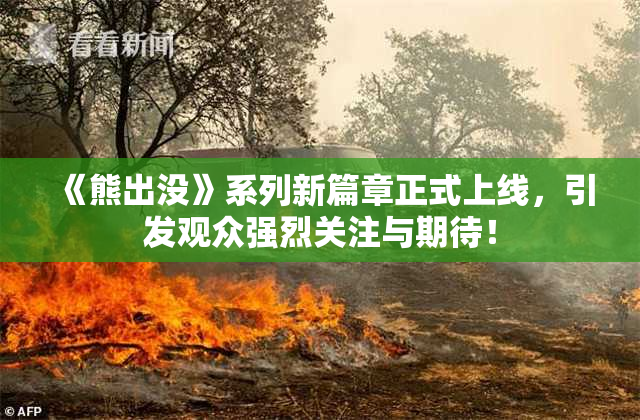 《熊出没》系列新篇章正式上线，引发观众强烈关注与期待！