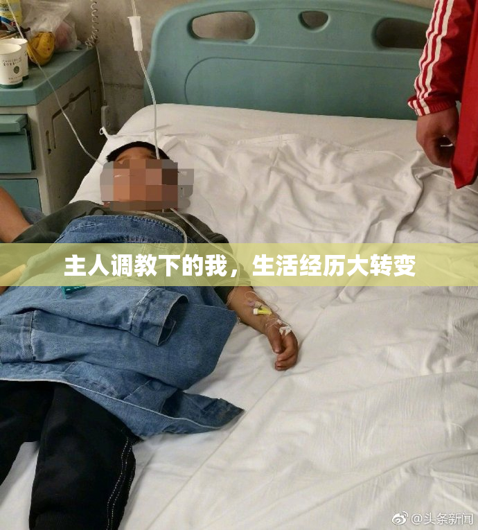 主人调教下的我，生活经历大转变