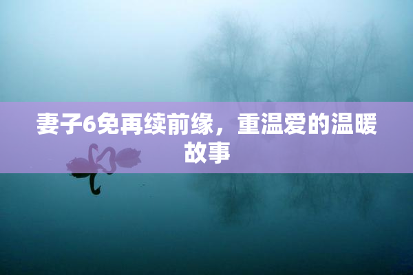 妻子6免再续前缘，重温爱的温暖故事