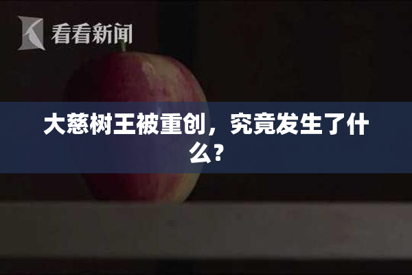 大慈树王被重创，究竟发生了什么？