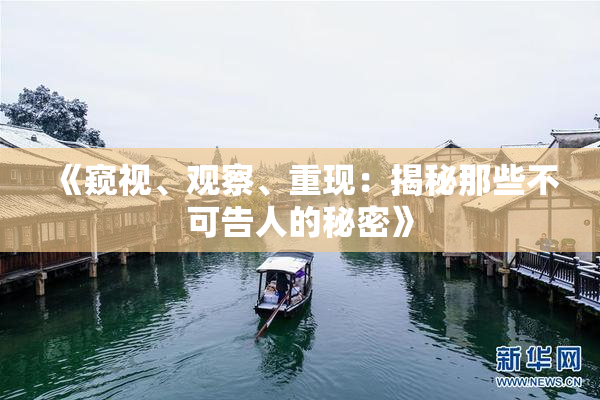 《窥视、观察、重现：揭秘那些不可告人的秘密》