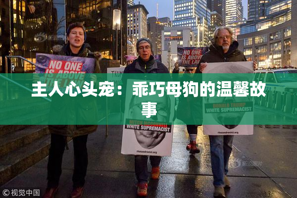主人心头宠：乖巧母狗的温馨故事