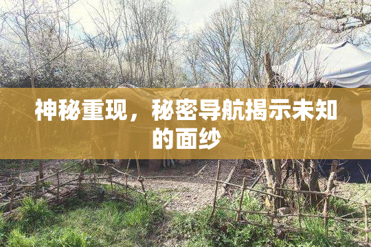 神秘重现，秘密导航揭示未知的面纱