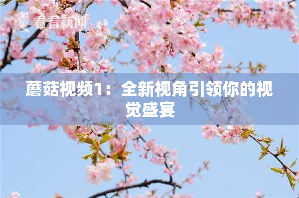 蘑菇视频1：全新视角引领你的视觉盛宴
