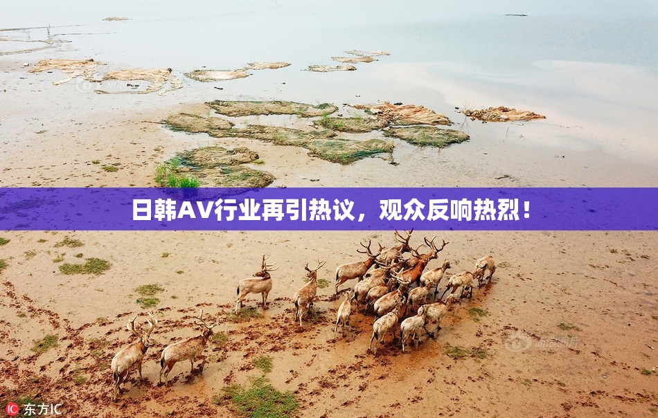 日韩AV行业再引热议，观众反响热烈！