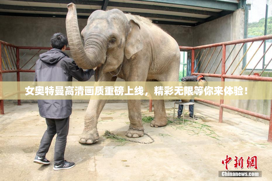 女奥特曼高清画质重磅上线，精彩无限等你来体验！