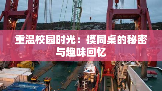 重温校园时光：摸同桌的秘密与趣味回忆