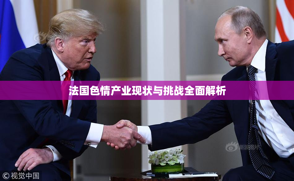 法国色情产业现状与挑战全面解析