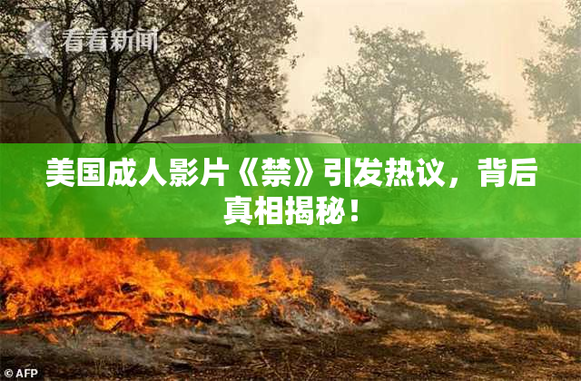 美国成人影片《禁》引发热议，背后真相揭秘！