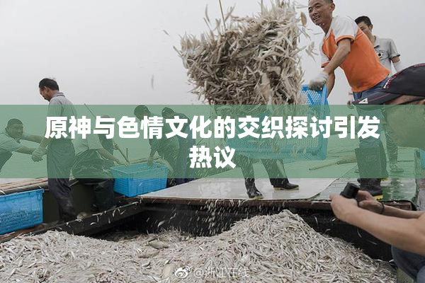 原神与色情文化的交织探讨引发热议