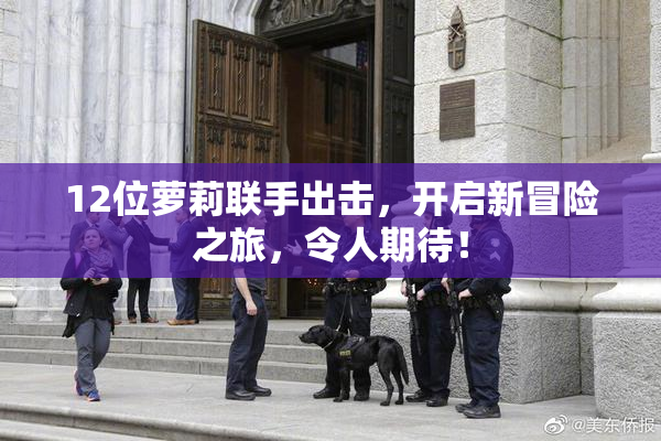 12位萝莉联手出击，开启新冒险之旅，令人期待！