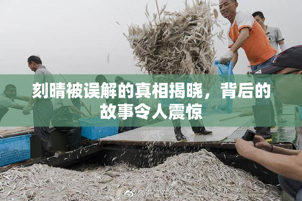 刻晴被误解的真相揭晓，背后的故事令人震惊