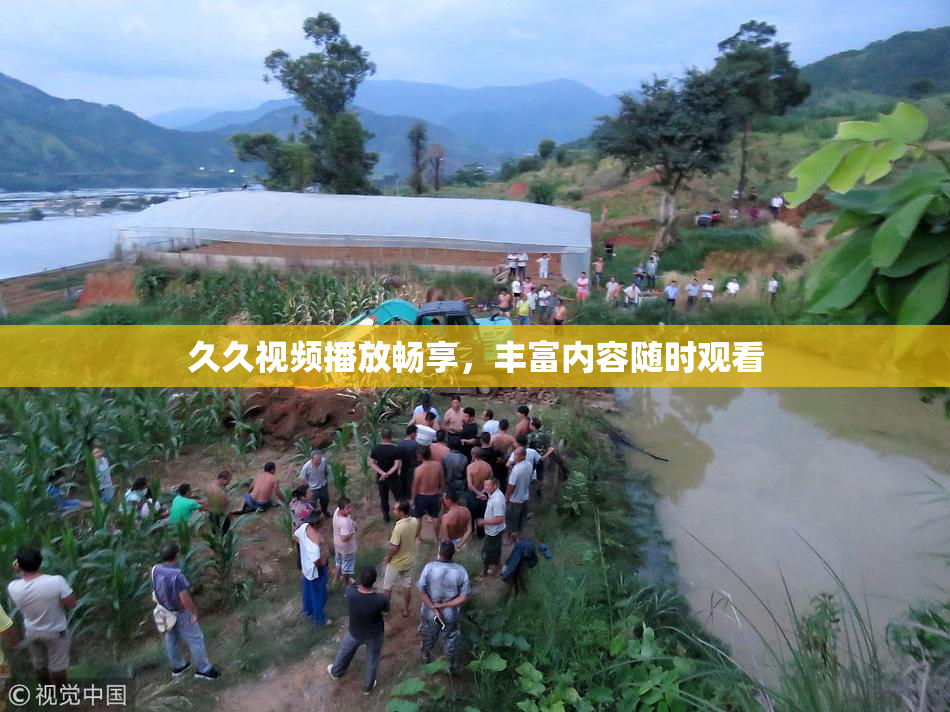 久久视频播放畅享，丰富内容随时观看