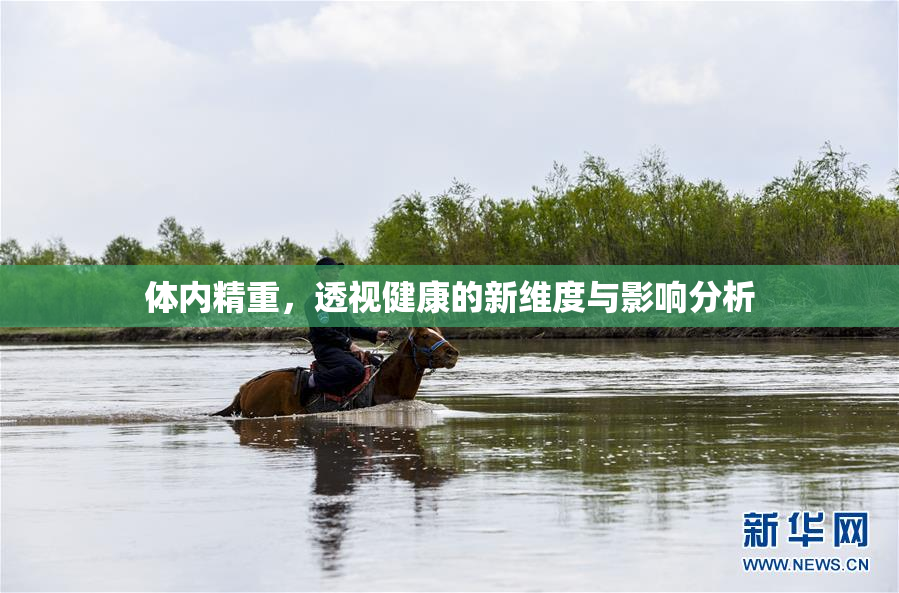 体内精重，透视健康的新维度与影响分析