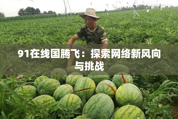 91在线国腾飞：探索网络新风向与挑战