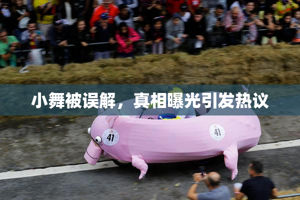 小舞被误解，真相曝光引发热议