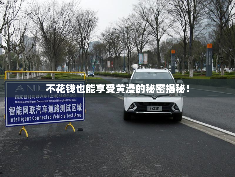 不花钱也能享受黄漫的秘密揭秘！