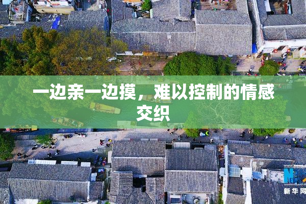 一边亲一边摸，难以控制的情感交织
