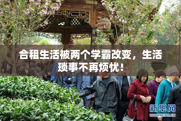 合租生活被两个学霸改变，生活琐事不再烦忧！