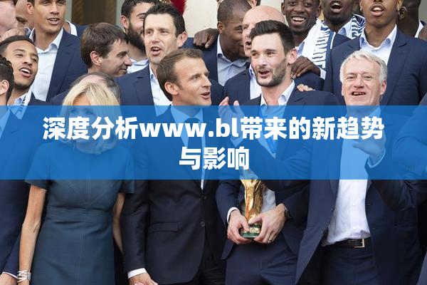 深度分析www.bl带来的新趋势与影响