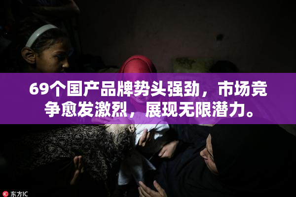 69个国产品牌势头强劲，市场竞争愈发激烈，展现无限潜力。