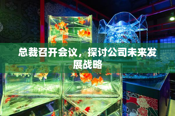 总裁召开会议，探讨公司未来发展战略