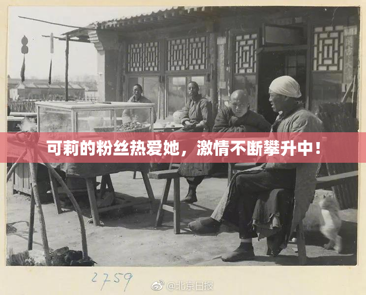 可莉的粉丝热爱她，激情不断攀升中！