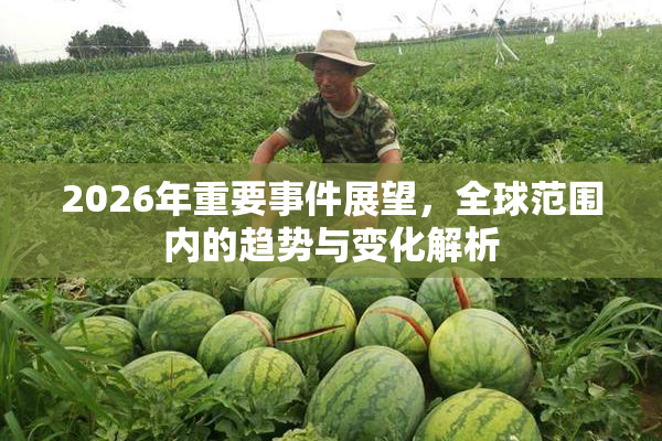 2026年重要事件展望，全球范围内的趋势与变化解析