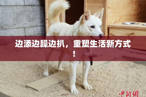 边添边躁边扒，重塑生活新方式！