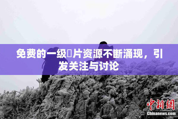 免费的一级婬片资源不断涌现，引发关注与讨论