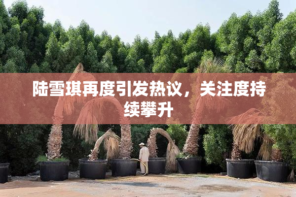 陆雪琪再度引发热议，关注度持续攀升
