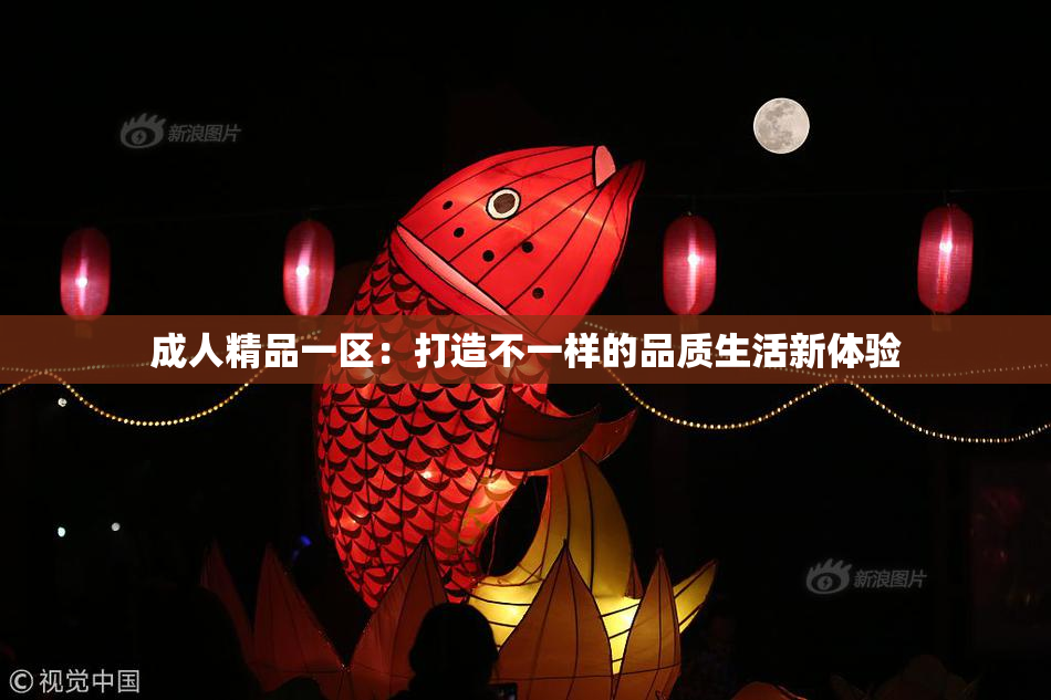 成人精品一区：打造不一样的品质生活新体验