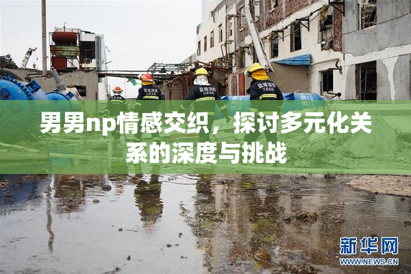 男男np情感交织，探讨多元化关系的深度与挑战