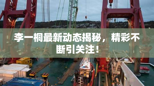 李一桐最新动态揭秘，精彩不断引关注！