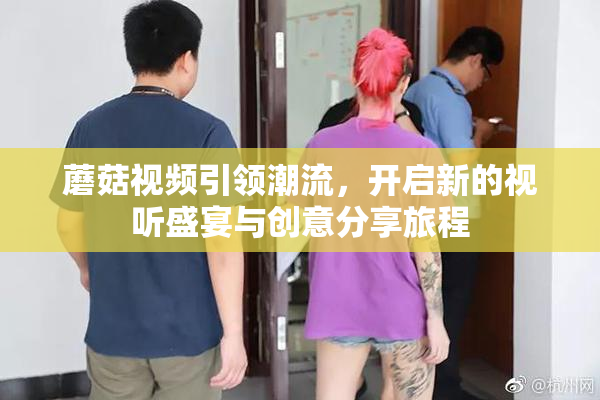 蘑菇视频引领潮流，开启新的视听盛宴与创意分享旅程