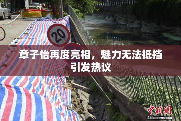 章子怡再度亮相，魅力无法抵挡引发热议
