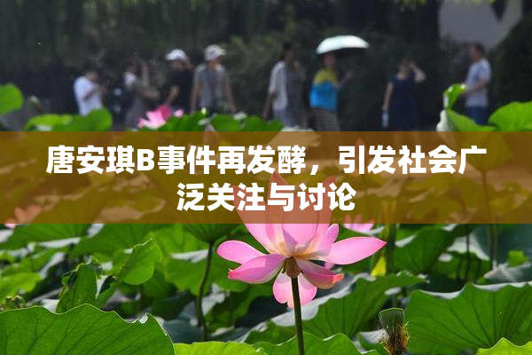 唐安琪B事件再发酵，引发社会广泛关注与讨论