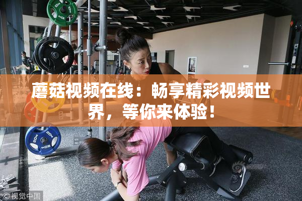 蘑菇视频在线：畅享精彩视频世界，等你来体验！