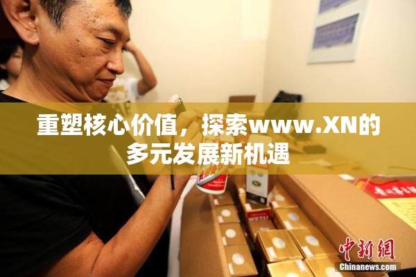 重塑核心价值，探索www.XN的多元发展新机遇