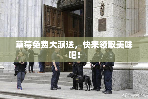 草莓免费大派送，快来领取美味吧！