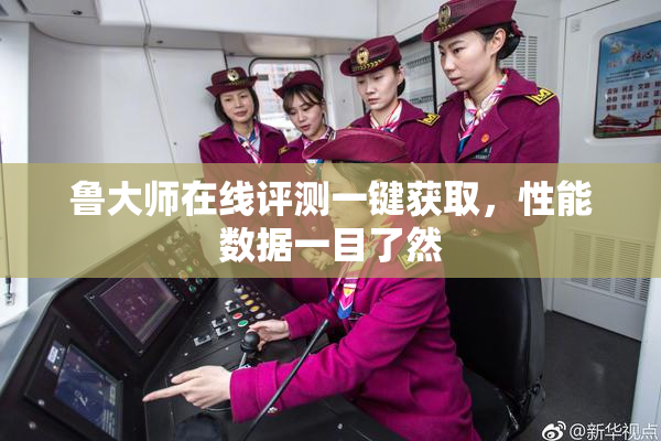 鲁大师在线评测一键获取，性能数据一目了然