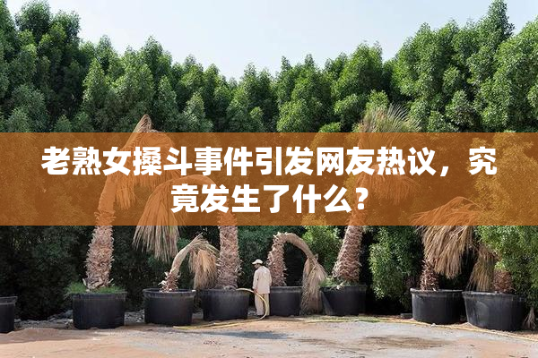 老熟女搡斗事件引发网友热议，究竟发生了什么？