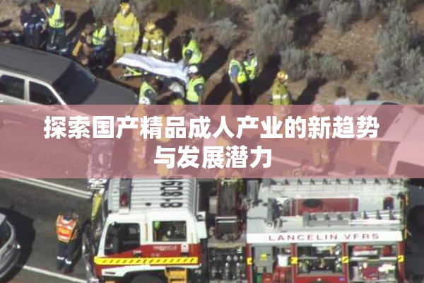 探索国产精品成人产业的新趋势与发展潜力