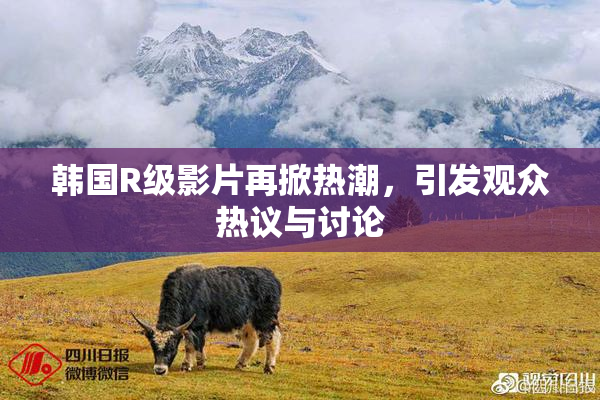 韩国R级影片再掀热潮，引发观众热议与讨论